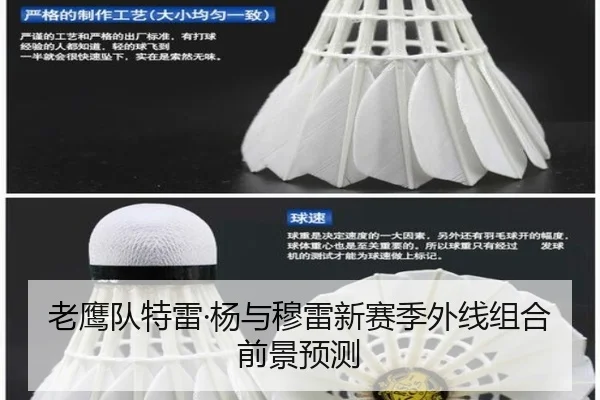 老鹰队特雷·杨与穆雷新赛季外线组合前景预测